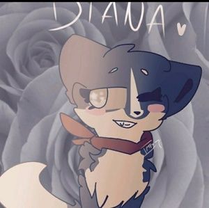 Meet your Posher, Diana